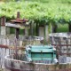 Vino Blanco D.O. Rías Baixas Albariño 2019