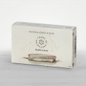Razor clams in water