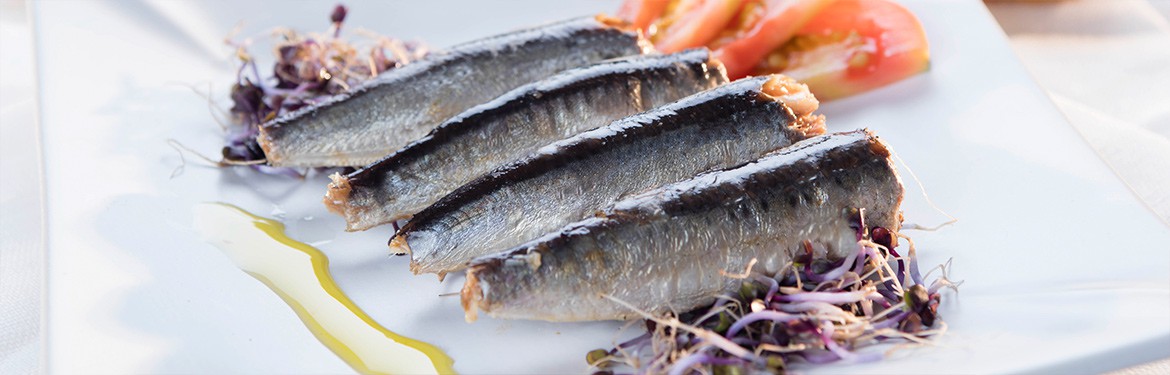 sardinas